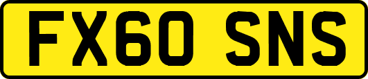FX60SNS