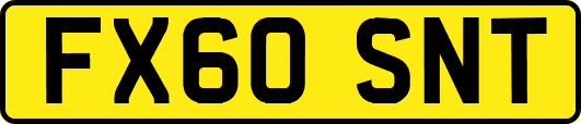 FX60SNT