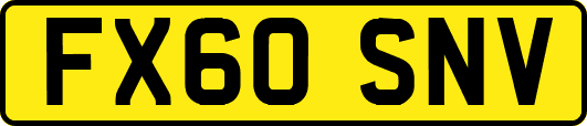 FX60SNV