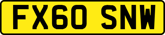 FX60SNW