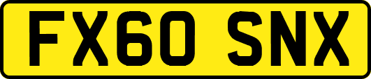 FX60SNX