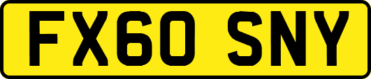 FX60SNY