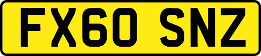 FX60SNZ