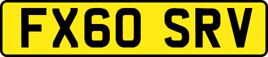 FX60SRV