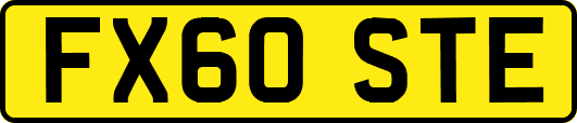 FX60STE