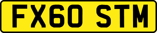 FX60STM