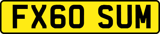 FX60SUM