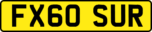 FX60SUR