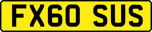 FX60SUS