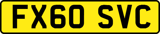FX60SVC