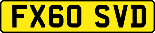 FX60SVD