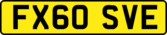 FX60SVE