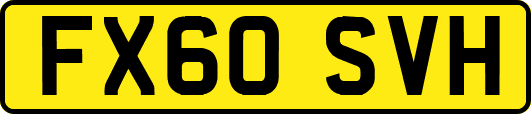 FX60SVH