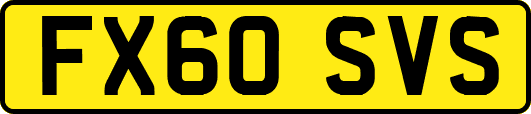 FX60SVS
