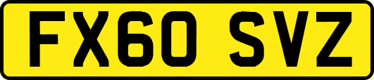 FX60SVZ