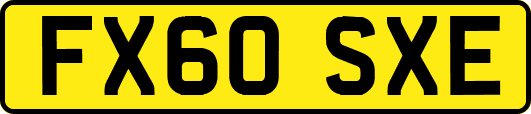 FX60SXE