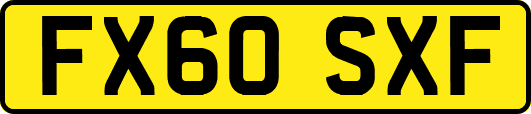 FX60SXF