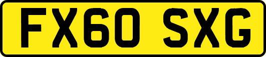 FX60SXG
