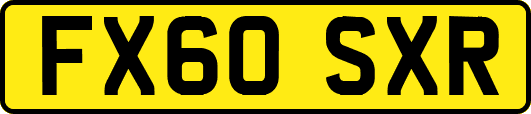 FX60SXR