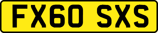 FX60SXS