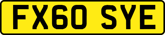 FX60SYE