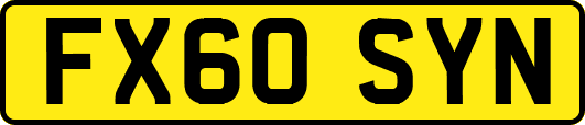 FX60SYN
