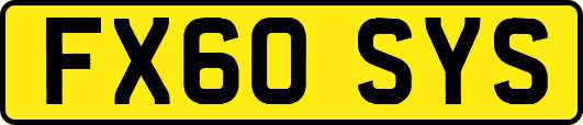 FX60SYS