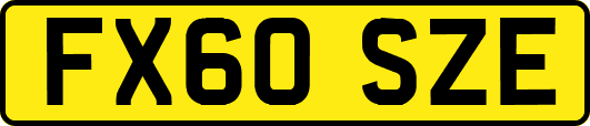 FX60SZE