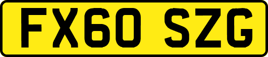 FX60SZG