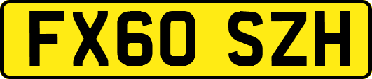 FX60SZH