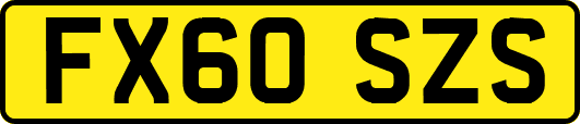 FX60SZS