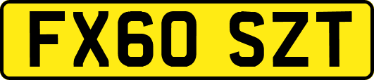 FX60SZT