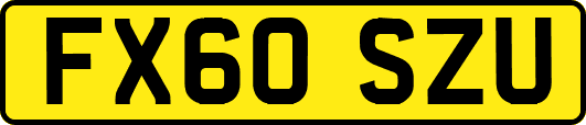FX60SZU