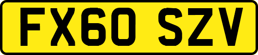 FX60SZV