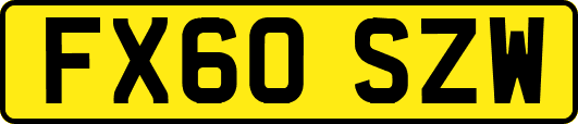 FX60SZW