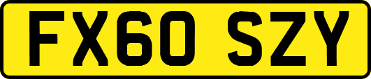 FX60SZY
