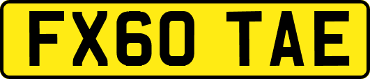 FX60TAE