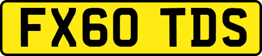 FX60TDS