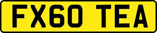 FX60TEA