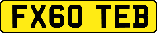 FX60TEB