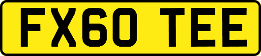 FX60TEE