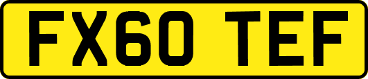 FX60TEF