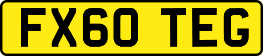 FX60TEG