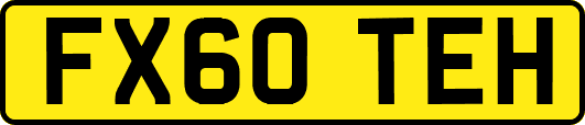 FX60TEH