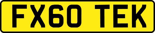 FX60TEK