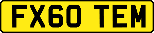 FX60TEM