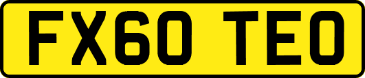 FX60TEO