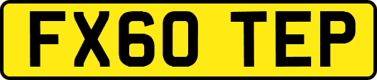 FX60TEP
