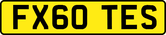 FX60TES