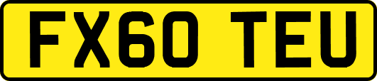 FX60TEU